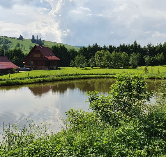 Malowniczy widok na staw, drewnianą chatę i zalesione bieszczadzkie wzgórza. Siedziba Bieszczadzkiego Miodu