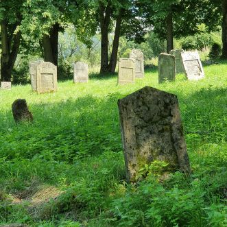 Zarśnięte trawą, stare kamienne nagrobki na zapomnianym cmentarzu.