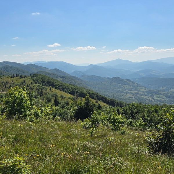 Panorama Bieszczadów – widok na zielone wzgórza i lasy w słoneczny dzień.