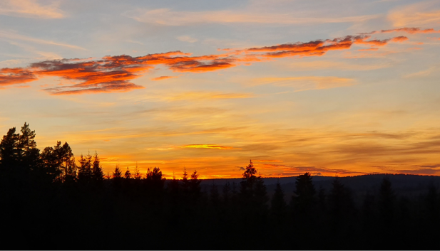 Główny Europejski Dział Wodny w Liskowatym, magiczne miejsce na mapie Polski