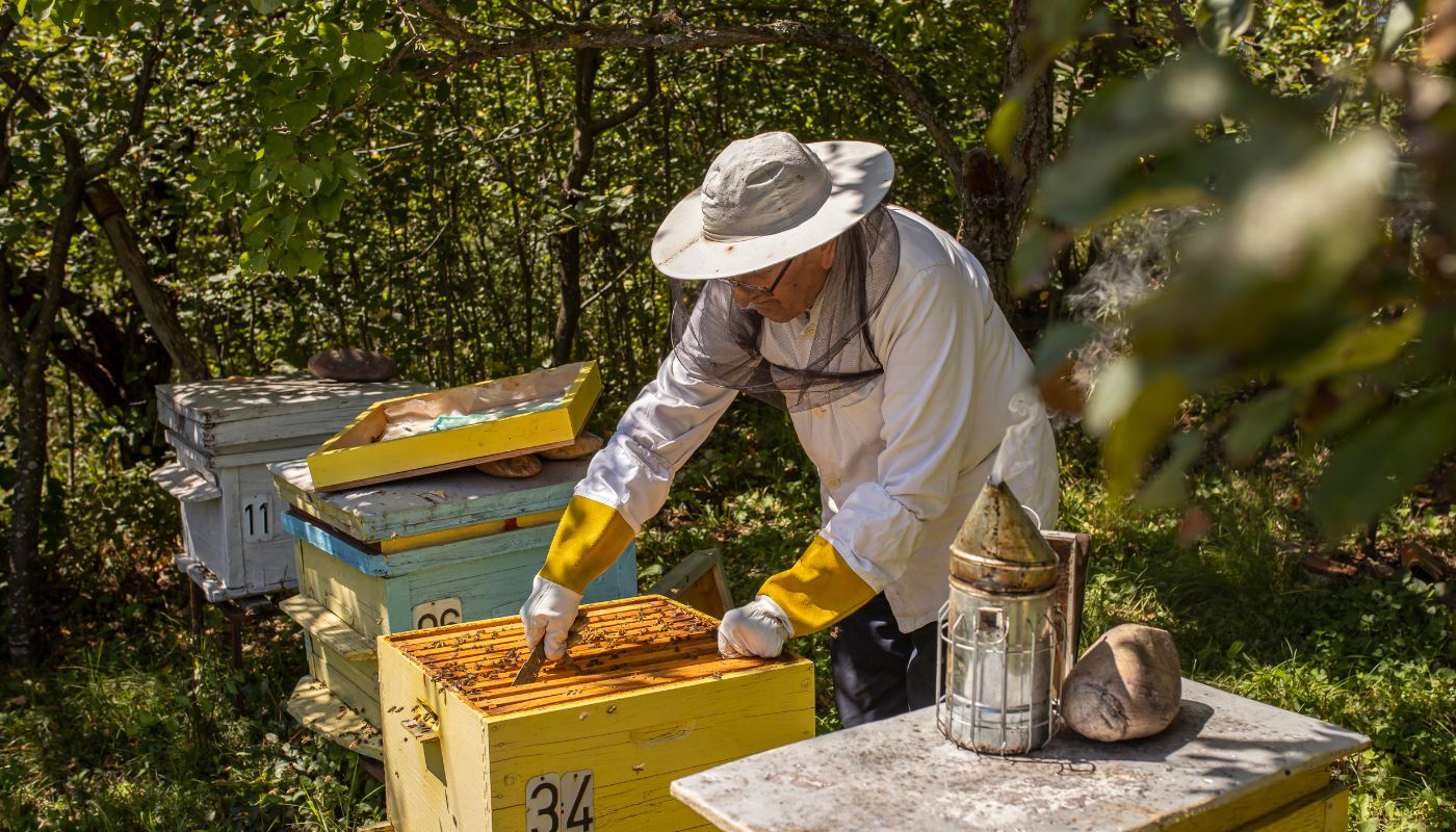 sztafeta-pokolen-pszczelarz